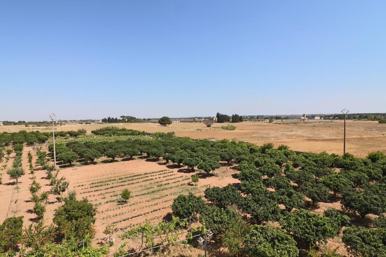 Tenuta Degli Agrumi Carmiano  Ngoại thất bức ảnh