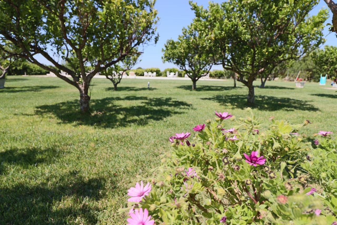 Tenuta Degli Agrumi Carmiano  Ngoại thất bức ảnh